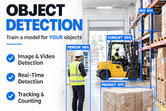 build custom yolo object detection models