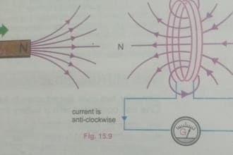 provide physics tutoring for learners