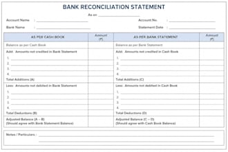 provide professional accounting and bookkeeping services