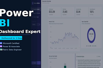 create professional power bi dashboards and reports for your business
