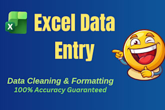 do microsoft excel data entry and data cleaning tasks