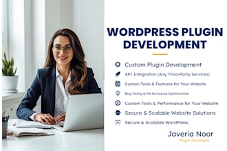 do custom plugin development for wordpress website