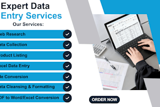 do web research, data mining, email leads and data entry