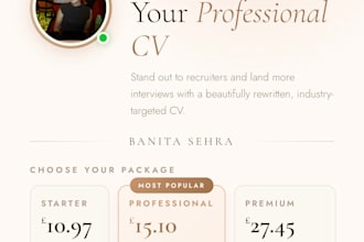 write and revamp your professional CV