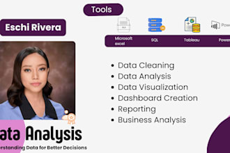 analyze e commerce data and create dashboards and reports