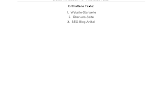 write professional website texts for electricians and craftsmen