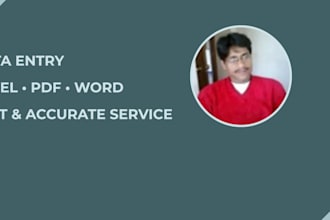 data entry, excel and PDF conversion