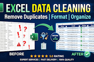clean, format and organize excel data professionally