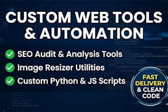 develop custom seo audit tools, image resizers, google adsense javascript