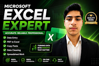 excel specialist , excel data entry