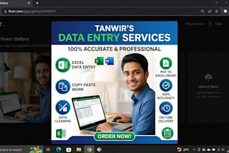 do professional excel data entry