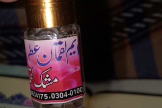 do urdu english typing and data entry work