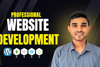 build website in 24hr