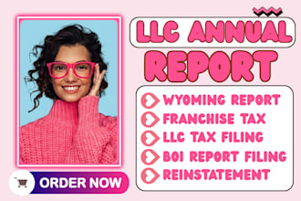 file your llc annual report, reinstatement, and boi report for any US state