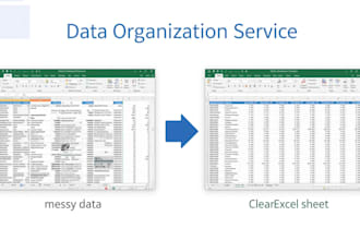 organize and structure data into excel spreadsheets