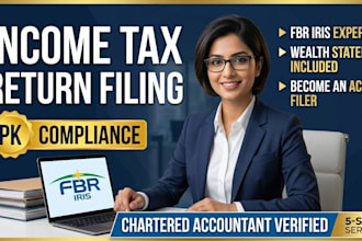 file income tax return and wealth statement in pakistan as ca