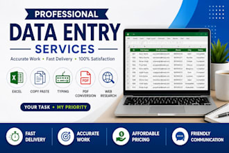 do data entry excel sheet works and conversion