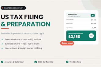 prepare and file your US business and personal tax returns