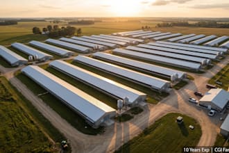 design 3d poultry farm layouts, broiler chicken houses, and cgi facilities