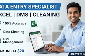 do professional data entry excel data cleaning and dms management