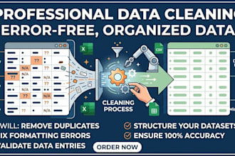 do professional database cleaning