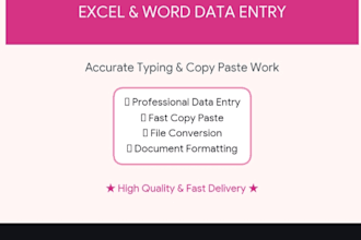 professional data entry and copy paste work