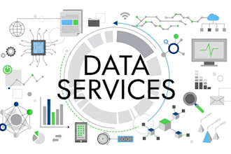 perfect data entery and virtual assistant task
