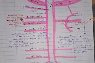 create anatomy and physiology revision notes