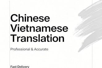 professional chinese vietnamese translation, 24h delivery