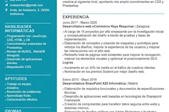 redactaré y diseñaré tu currículum profesional