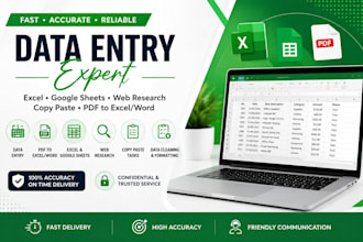 professionally enter data and bookkeeping