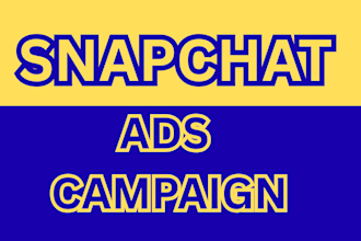 set up and manage high converting snapchat ads campaign