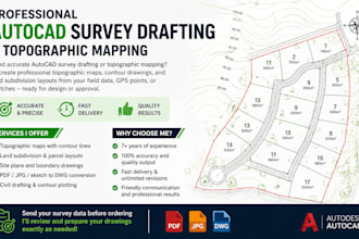 do professional autocad survey drafting topographic map and land subdivision