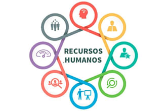 provide professional HR and recruitment support