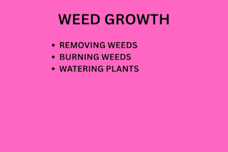 be removing weeds in the farm