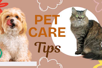 provide your pet care and veterinary support services