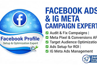 setup audit fix optimize facebook ads ig meta ads campaign for ROI fb pixel
