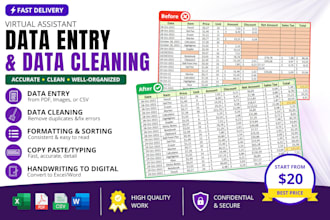 do data entry and data cleaning in microsoft excel
