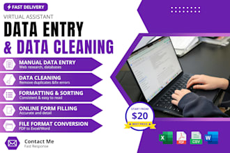 do data entry and data cleaning in microsoft excel