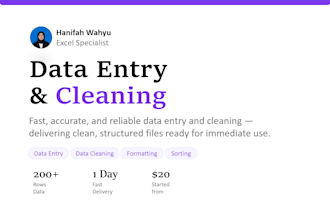 do fast and accurate data entry and data cleaning in microsoft excel