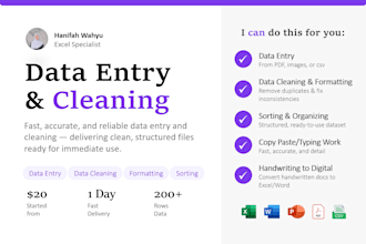 do data entry and data cleaning in microsoft excel