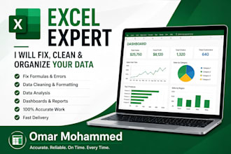 fix excel formulas, dashboards, and data issues