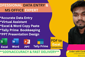do expert data entry ms excel word and tally bookkeeping