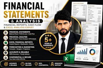 prepare financial statements, cash flow and financial analysis report