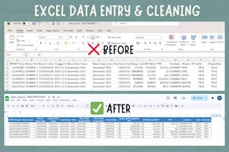 do expert data entry and data cleaning