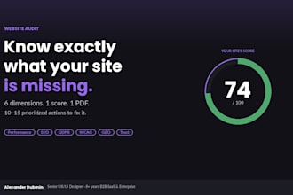 deliver a complete website audit across SEO, gdpr, wcag and performance