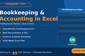 bookkeeping, accounting and financial data entry in excel or google sheet