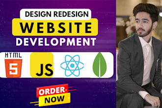 develop a modern startup website or custom web application