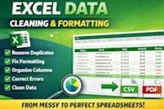 professionally clean excel data and make attractive and understandable dashboard