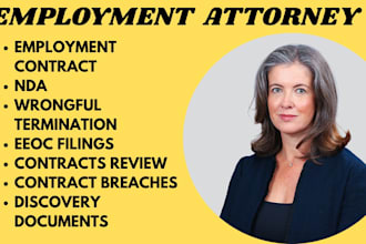be your employment lawyer, draft legal documents and offer legal advice in US
